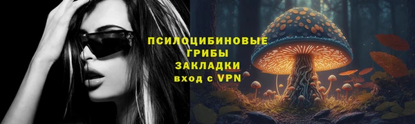 ПСИЛОЦИБИНОВЫЕ ГРИБЫ Алексеевка