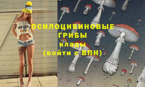 ПСИЛОЦИБИНОВЫЕ ГРИБЫ Алзамай