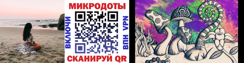 где купить   Мурино  Галлюциногенные грибы MAGIC MUSHROOMS 